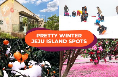 4 Colourful Spots In Jeju Island To Visit During Your Winter Travel