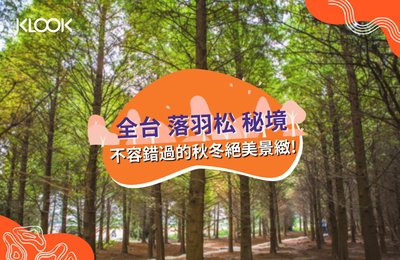 2021【落羽松景點】全台11大打卡秘境,秋冬不容錯過的絕美景緻!