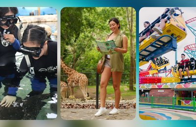 4 Reasons to Book Klook’s Cebu All-Attractions Pass for Your Next Weekend Adventure