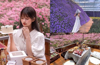 Cameron Flora Park: Have A Dreamy Picnic At This New Floral Garden In Cameron Highlands