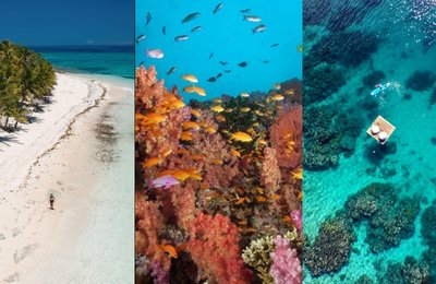 20 Fun Things to Do in Fiji for First-Timers