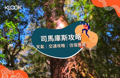 司馬庫斯攻略2025》櫻花/住宿/交通/景點推薦，一篇看懂！