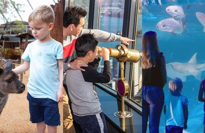 20 Fun and Exciting Sydney Attractions for Families