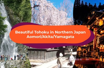 The Four Seasons of Tohoku, Japan and Why You Should Visit Any Time of the Year