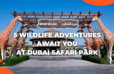 5 Wildlife Adventures Await You at Dubai Safari Park