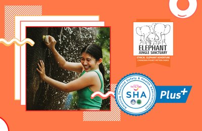 Forging Bonds with Elephants Ethically at the Elephant Jungle Sanctuary in Phuket