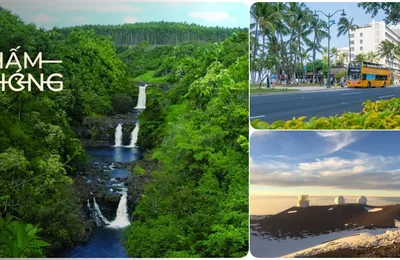 Các Địa Điểm Du Lịch Hawaii Bạn Không Nên Bỏ Lỡ