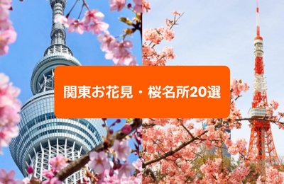 関東お花見・桜名所20選|桜の絶景と楽しむ周辺お出かけスポットも紹介!