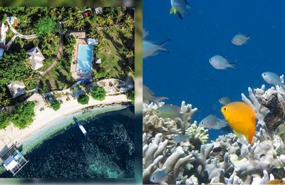 8 islands in Cebu to make the most out of your summer