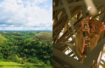 Bohol bucket list: A must-try guide for first-timers