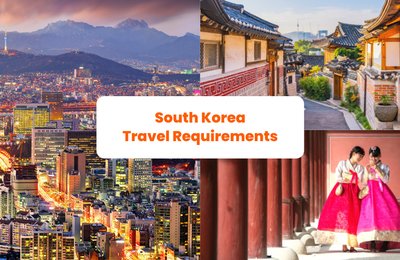South Korea Travel Requirements: Guide On What To Do Before & During Travel