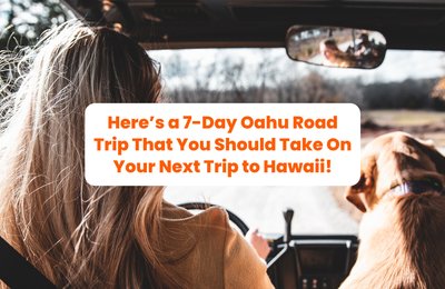 Here’s a 7-Day Oahu Road Trip That You Should Take On Your Next Trip to Hawaii!
