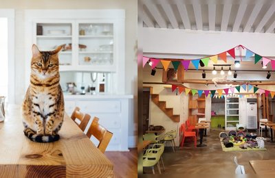 Annyeongmeowseyo! Here Are Some Cat Cafes To Visit In South Korea For Cat Lovers