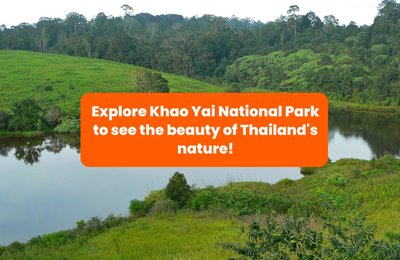 Discover the Beauty of Thailand's Nature at Khao Yai National Park