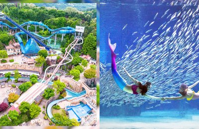 Annyeong! Here Are 8 Outdoor Activities To Try In The Land Of Oppa - South Korea!