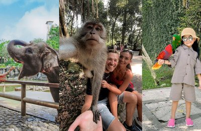 The 6 Best Wildlife Experiences in Bali
