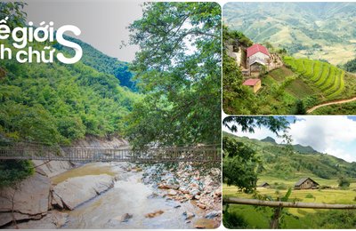 Cầu Mây Sapa, Tọa Độ Check-in Dành Cho Hội Sống Ảo