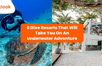 8 Dive Resorts That Will Take You On An Underwater Adventure
