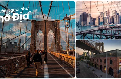Nói Về Cầu Brooklyn, Biểu Tượng Vượt Thời Gian Ở New York