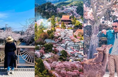 Best Month and Locations to See Cherry Blossoms in Japan