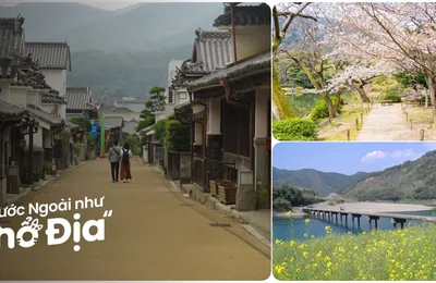 9 Gợi Ý Du Lịch Shikoku Rất Đáng Trải Nghiệm