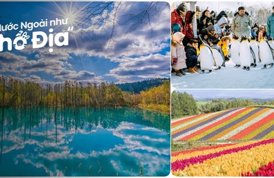 10 Cảnh Đẹp Hokkaido Dành Cho Người Yêu Thiên Nhiên