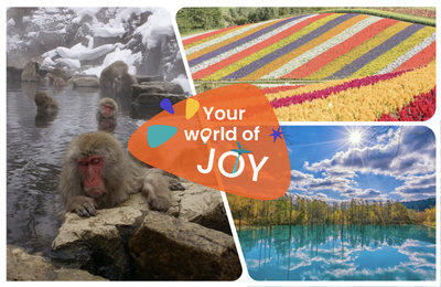 日本北海道一日遊》戶外咖別錯過！Top10北海道景點推薦