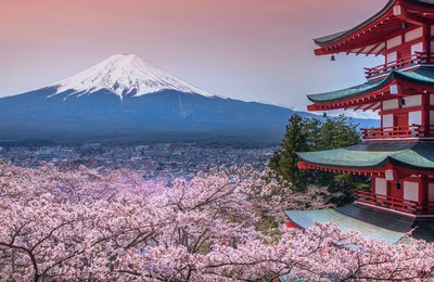 21 Japan Travel Tips Shared by Locals that All Travellers Must Know