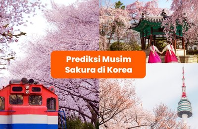 Prediksi Musim Bunga Sakura Korea Selatan 2026