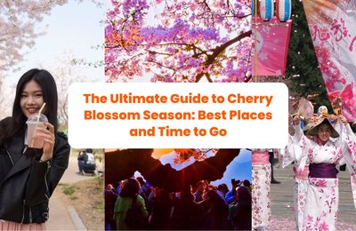 Where to Find Cherry Blossoms in Asia: Best Places and When to Visit