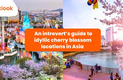 An introvert’s guide to idyllic cherry blossom locations in Asia