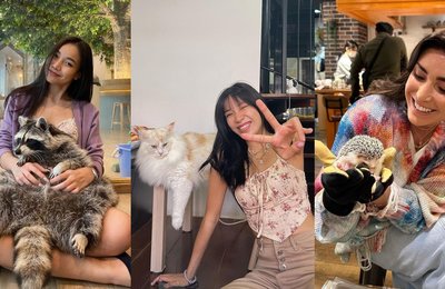 Here are 9 paw-some pet cafes to visit for National Pet Day!