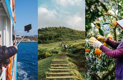 17 Best Things to Do in Jeju: Snoopy Garden, Go Kart Race Park, Green Tea Museum And More
