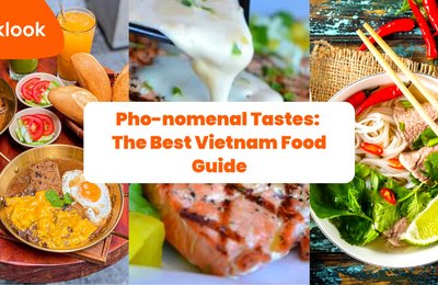 Pho-nomenal Tastes: The Best Vietnam Food Guide