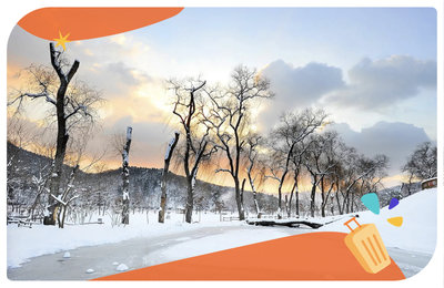 南怡島一日遊》自由行熱門路線景點、交通美食！走入浪漫冬季戀歌場景