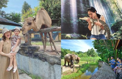 10 Zoo & Taman Hidupan Liar Terbaik Di Malaysia Yang Semua Pencinta Haiwan Perlu Kunjungi!