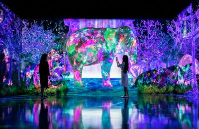 チームラボフォレスト 福岡は事前予約がオススメ！お得な割引チケットや見どころは？