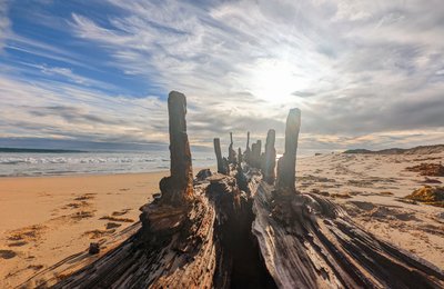 パース観光はどこに行く？おすすめスポット15選を割引情報と紹介