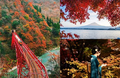 Panduan Pelancongan Pada Musim Luruh: 15 Tempat Terbaik Untuk Lihat Daun Musim luruh di Jepun 2025