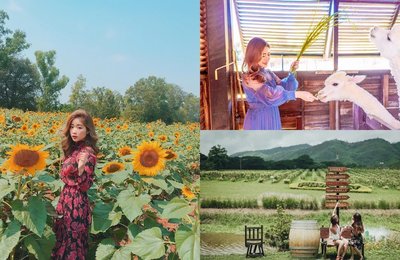 Panduan Perjalanan ke Khao Yai 2024: Kembara Jalan Raya yang Indah Hanya 3 Jam dari Bangkok