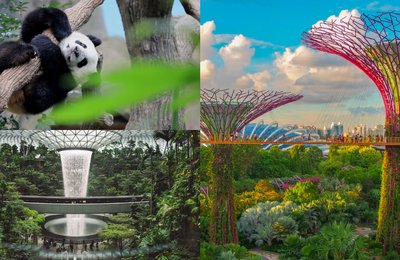 80 Top Things To Do In Singapore - Attractions, Interesting Places To Visit & Fun Things To Do