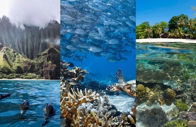 Prepare your Diving Gear for Amazing Dive Trips at these Top 10 Scuba Dive Spots in the World