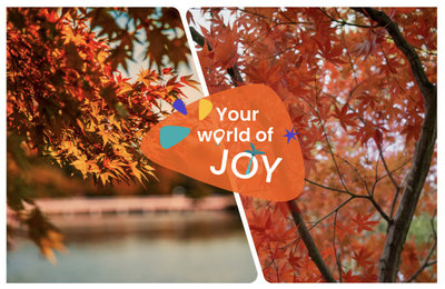 2025北海道賞楓之旅！8大北海道賞楓景點推薦＋楓紅時間預測