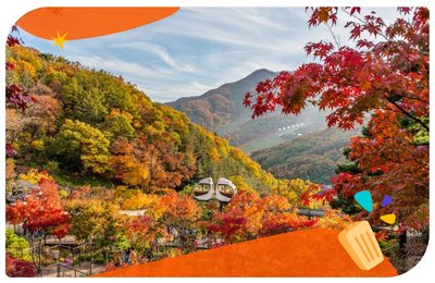 【韓國賞楓】2025首爾楓葉、銀杏必去景點，楓葉最佳觀賞時間！