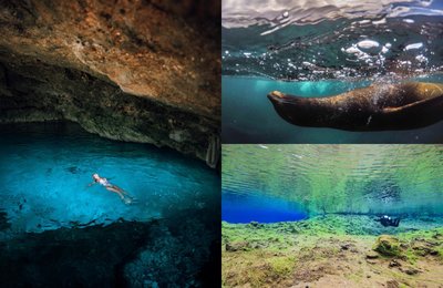 Top 10 best dive sites in the world to see rare underwater sights