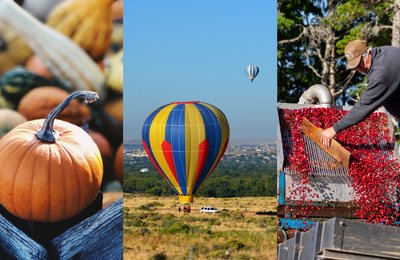 Top 10 Things To Do in the USA for Your Autumn Adventures
