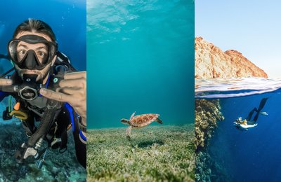 The Best Dive Spots Unveiled and Why Diving Deserves a Top Spot on Your Bucket List!