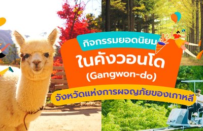 กิจกรรมยอดนิยมในคังวอนโด (Gangwon-do) : จังหวัดแห่งการผจญภัยของเกาหลี