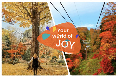 2025東京賞楓》東京紅葉何時開？推薦賞楓景點一次看！