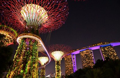 ガーデンズバイザベイのチケット購入ガイド!一番お得な買い方・予約方法・種類を徹底比較